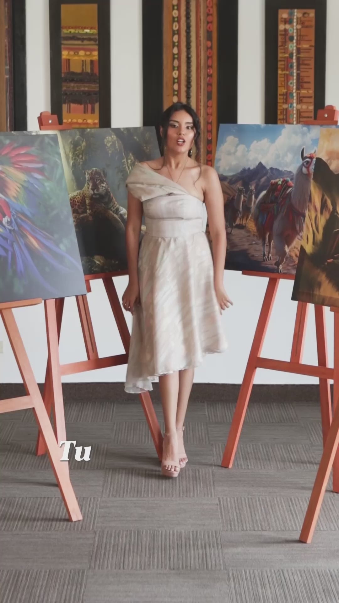 Cargar video: 